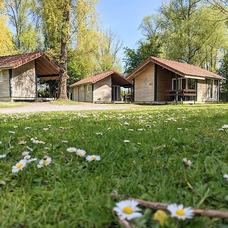 Camping Du Port De Plaisance 페론네 외부 사진